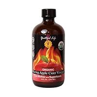 Algopix Similar Product 2 - Blazing Apple Cider Vinegar Fire Cider