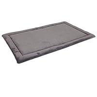Algopix Similar Product 14 - Aspen Pet Kennel Mat 2812 by