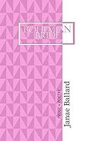 Algopix Similar Product 9 - Bohemian Bride: PROSE + POETRY