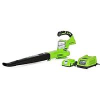 Algopix Similar Product 4 - Greenworks 24V Sweeper 20Ah Battery