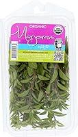 Algopix Similar Product 2 - Herb Marjoram Organic, 0.75 Ounce