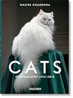 Algopix Similar Product 17 - Cats: Photographs 1942-2018