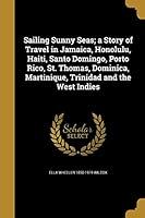 Algopix Similar Product 6 - Sailing Sunny Seas A Story of Travel