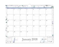 Algopix Similar Product 14 - Blue Sky 2018 Wall Calendar TwinWire