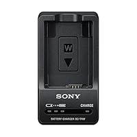 Algopix Similar Product 4 - Sony BC-TRW W Series Battery Charger