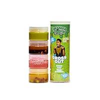 Algopix Similar Product 20 - Craft City Guava Toys Pre Made Gross