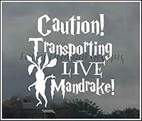 Algopix Similar Product 6 - Transporting Live Mandrake Car Decal 