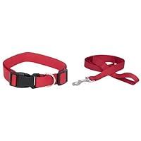 Algopix Similar Product 10 - Pet Champion Classic Basic Dog Collar