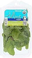 Algopix Similar Product 6 - Infinite Herbs Organic Mint, 0.75 OZ