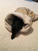 Algopix Similar Product 16 - Small Dog Dachshund Dog Dog Dog Print