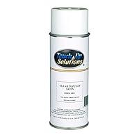 Algopix Similar Product 11 - TouchUp Aerosol Clear Semi-Gloss 12oz