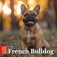 Algopix Similar Product 18 - French Bulldog Calendar 2025 365 Days