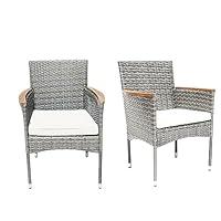 Algopix Similar Product 1 - ARTBUSKE 2 Piece Outdoor Patio Chairs