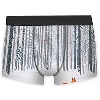 Algopix Similar Product 6 - OcuteO Mens Boxer Briefs Fox Bird In