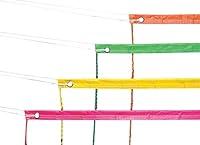 Algopix Similar Product 7 - Champion Sports Vinyl Volleyball Nets