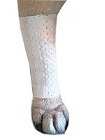 Algopix Similar Product 1 - Pawflex Bandages Protective Covers for