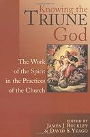Algopix Similar Product 6 - Knowing the Triune God The Work of the