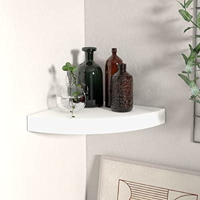 upsimples Clear Acrylic Shelves for Wall Storage, 15 Acrylic