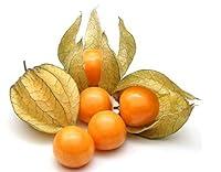 Algopix Similar Product 19 - Kejora Fresh Golden BerriesCape