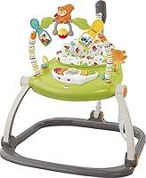 Algopix Similar Product 15 - FisherPrice Woodland Friends