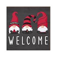 Algopix Similar Product 20 - Fan Creations Louisville Welcome Gnomes