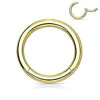 Algopix Similar Product 12 - Hinged Seamless WildKlass Jewely Septum