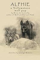 Algopix Similar Product 4 - Alphie, a Yellowstone wolf pup