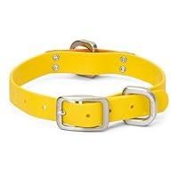 Algopix Similar Product 9 - WEST PAW Jaunts Dog Collar Small