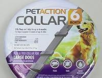 Algopix Similar Product 15 - Pet Action Flea Tick Collar for Large