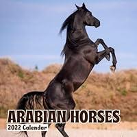 Algopix Similar Product 10 - Arabian Horses Calendar 2022 Official