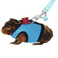 Algopix Similar Product 4 - RYPET Ferret Harness and Leash  Soft