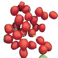 Algopix Similar Product 8 - Tomato Sugar Plum F1  Vegetable Seeds