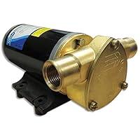Algopix Similar Product 6 - Jabsco Ballast King Bronze DC Pump wo