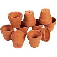 Algopix Similar Product 3 - Juvale 10 Pack 25 inch Mini Terra