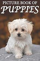 Algopix Similar Product 4 - Picture Book of Puppies Picture Book