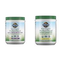 Algopix Similar Product 6 - Garden of Life Raw Organic Perfect Food