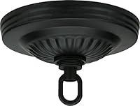 Algopix Similar Product 17 - Satco Canopy Kit Black Fin 5 Dia