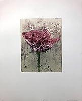 Algopix Similar Product 3 - Fraternal