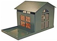 Algopix Similar Product 5 - Durable Bird Proof Squirrel Feeder  If