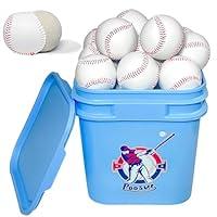 Algopix Similar Product 1 - Bucket of Baseballs  Standard Size