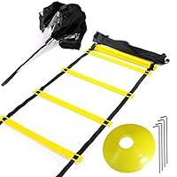 Algopix Similar Product 16 - Huvai Agility Ladder 20ft 12 Rung