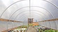 Algopix Similar Product 1 - Bootstrap Farmer Greenhouse Plastic 4