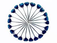 Algopix Similar Product 9 - 10 Pieces  Blue Iridescent Peacock