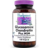 Algopix Similar Product 19 - Glucosamine Chondroitin Plus MSM 120