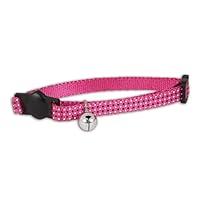 Algopix Similar Product 5 - Doskocil Aspen Pet Products CT Collar