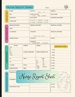 Algopix Similar Product 12 - Nurse Report Sheet Notebook