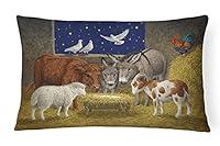 Algopix Similar Product 4 - Carolines Treasures ASA2205PW1216