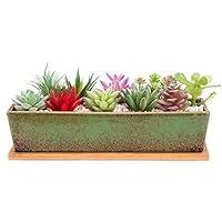 Algopix Similar Product 12 - ARTKETTY Succulent Pots  Large