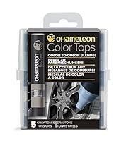 Algopix Similar Product 4 - Chameleon Art Products Gray Tones
