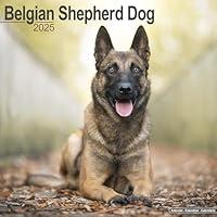 Algopix Similar Product 13 - Belgian Shepherd Dog Calendar 2025 